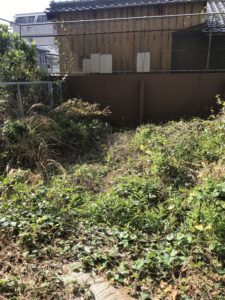 マンション一階部専用庭で5年間放置した庭の除草作業です