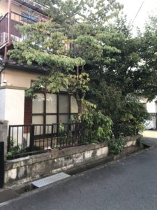 桜の巨木の伐採，大谷石撤去，ブロック，フェンス新設工事です。